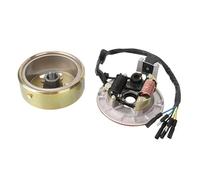 Statore Bobina Per 125cc 2-bobina Universale Del Motociclo Durevole Statore Piastra Magnetica Rotore Per ATV Quad Dirt Pit Bike Parti Ricambio Generatore Statores