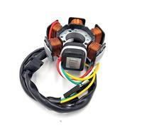 Statore Bobina Per 50cc AM6 Per RX Per RS Per MX 50 RX50 RS50 MX50 Per Tuono Moto Statore Generatore Magento Piastra Alternatore Scooter Parte Generatore Statores