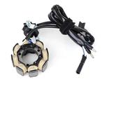 Statore Bobina Per CRF450 CRF450R CRF-450R CRF450 R 2002-2007 2008 Bobina Dello Statore Motore E Raddrizzatore Del Regolatore Di Tensione Con Guarnizione(2004)
