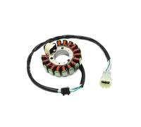 Statore Bobina Per DT230 Per Lanza 1997-1998 4TP-85510-00 Bobina Statore Magnete Moto 1x