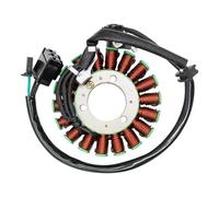 Statore Bobina Per EX250 Per Ninja 250R Per EX300 Per Ninja 300 2013 2014 2015 2016 2017 21003-0128 Bobina Statore Generatore Moto Accessori
