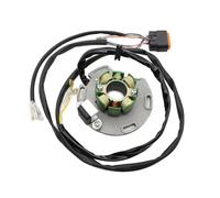 Statore Bobina Per GasGas EC125 2005-2015 MC125 2005-2008 2009 2010 2011 2012 2013 MC250534005 Bobina Statore Magnete Moto 1x