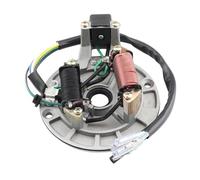 Statore Bobina Per JH70 Per 110cc 90cc 70cc 125cc Dirt Pit Bike Per ATV Quad Moto Statore Accensione Piastra Pickup Magneto Bobina Accensione Rotore Generatore Statores