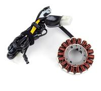 Statore Bobina Per KLX250 2008 2009 2010 2011 2012 2013 2014 21003-0087 Bobina Statore Per Motocicletta Piastra Statore Magnete Per Motocicletta Bobina Di Accensione Accessori