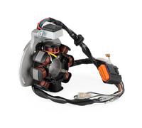 Statore Bobina Per ME250534005 Per GASGAS EC300 EC250 EC200 EC125 2005-2006 2007 2008 2009 2010 2011 Accensione Statore Assy Parti Di Ricambio Generatore Statores