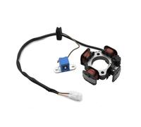 Statore Bobina Per Suzuki LTZ90Z Per Quadsport Per Z90 2x4 Per Special Edition 2009 OEM 32101-08H00 Bobina Statore Magnete Moto 1x