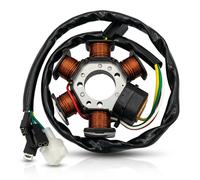 STATORE CAMPO MAGNETICO 6 POLI PER DERBI Senda SM DRD Racing E2 50 2010