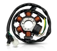 STATORE CAMPO MAGNETICO 6 POLI PER DERBI Senda SM DRD Racing LTD E2 50 2007