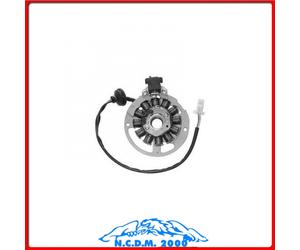 STATORE COMPLETO 12 POLI DUCATI F10 Jet Line Rst Euro 2 (ED.2006) 50 2006 2007