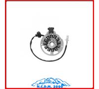 STATORE COMPLETO 12 POLI DUCATI MALAGUTI Ciak Master Euro 2 50 2006-2007