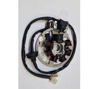 Statore: SGR 7 Poli 12v 95w Moto Motore Ricambi Ciclomotore Accessori