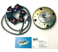 Statore Completo Di Volano Originale PIAGGIO ZIP 50 1992-2000 Cod. 830294