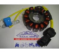 STATORE COMPLETO KOKUSAN 12 POLI PIAGGIO BEVERLY 200 168021