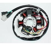 STATORE CON PIASTRA DUCATI 6 POLI RIEJU 50 SMX PRO ANNO 2005 3196849