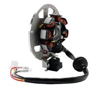 STATORE CON SUPPORTO PER CPI KEEWAY ATU EXPLORER AEON ADLY MBK BENELLI E-TON L3