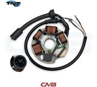 Statore Campo Magnetico Per Piaggio Vespa Fl2 HP 50 1991 1992 1993 1994 1995