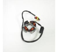 Statore d'accensione P2R per Moto Beta 50 RR 2005-2012