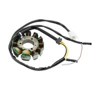 Statore del generatore adatto for SERKB 250 ATV Q 35560-CBT-00