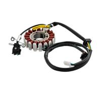 Statore del generatore magnete adatto for Ho XR 125 L JD19