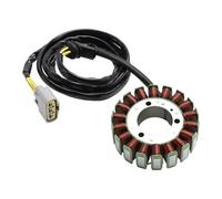 Statore Del Generatore Magneto Per Stels Guepard 650800850, Dominator 800, RM Dello Statore