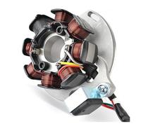 Statore Del Generatore Per Gas Gas Per EC250 EC300 Racing REPLICA FACTORY E (E-START) EC125 EC 200 250 300 EE10000033012 Bobina statore
