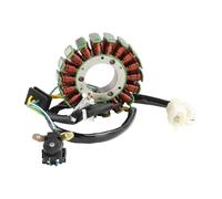 Statore Del Generatore Per Sinnis Per XF125GY-2B 125cc K157FMI 18 Bobina Magneto Statore Generatore