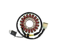 Statore Del Generatore Per TRX500 2014 Foreman Hydrostatic 500 2001-2010 Bobina dello statore di accensione del motociclo 31120-HN2-003 31120-HN2-A21