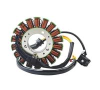 statore dello Per 675 ABS 675R Per Velocità Per Strada Per | Kit Di Montaggio Bobina Statore Generatore Moto Per 675 ABS 675R Per Velocità Per Strada Per Triple R OEM T1300039