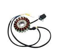 statore dello Per Zongshen 150CC 250CC CG250 ATV Per | 3 Fori MAGNETO STATORE 8 Bobina/12/18 Poli Per Zongshen 150CC 250CC CG250 ATV Per JONWAY Per LANCE Per ZNEN Per ROKETA Go