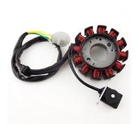 Statore di accensione a 12 Bobine e Poli, rotore Magnetico dello statore di accensione per Motori GY6 125cc 150cc, ricambi per ciclomotori, Scooter, ATV, Quad e Go-Kart.