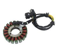 Statore Di Accensione Compatibile Con GN125 GS125 EN125 TU125 Per Thunder 125 18 Poli Generatore Statore Bobina Magnete Motore Di Accensione Accessori Di Ricambio