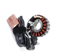 Statore Di Accensione Compatibile Con Piaggio Per Vespa Per GTS250 2005-2009 Per GTV250 2006 2007 2008 2009 Magneto Statore Bobina Di Accensione Generatore Accessori