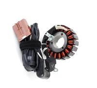 Statore Di Accensione Compatibile Con Piaggio Per Vespa Per GTS300 Per Super 300 2009 2010 2011 2012 2013 Magneto Statore Bobina Di Accensione Generatore Di Ricambio