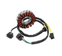 Statore Di Accensione Compatibile Con Suzuki Per DRZ400 2000-2013 Per DRZ400SM 2000-2012 Bobina Statore 32101-13E00 32101-13E02 32101-13E03 32101-29F00 32101-29F10