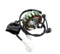 Statore Di Accensione Compatibile Con Yamaha Per YP400 Per Majesty 2004 2005 2006 2007 2008 2009 2010 2011 2012 2013 2014 2015 5RU-81410-00 Accessorio Di Accensione Bobina Statore