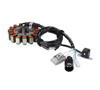 Statore di Accensione Magneto Bobina Bobina Dello Statore Del Generatore Di Accensione A Piastra Magnetica Per Moto Per Per KVF750 Brute Force 750 KRT750 KRF800 KRT800