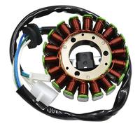 Statore di Accensione Magneto Bobina Bobina Dello Statore Del Generatore Moto Per Ya&ma&ha Per TTR250 TT-R250 TT250R TT-R RAID Regolatore Dello Statore