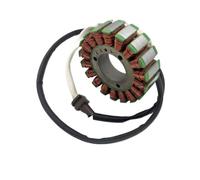 Statore di accensione Magneto P010000311200000 compatibile con il generatore Hisun HS800 800cc ATV UTV