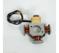 statore di accensione p2r per ciclomotore peugeot 50 103 fox nuovo