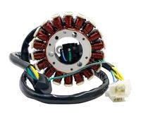 Statore di accensione per CBF250 2004 2005 2006 2007 2008 2009 CBX250 CBX 250 2004-2010 Bobina statore generatore Moto 31120-KPF-911