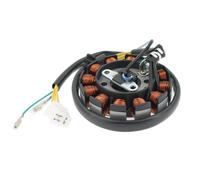 Statore di accensione per Motori GY6 125cc 150cc 180cc 200cc a 12 Bobine, Magnete CC, Scooter, ciclomotori, ATV, Go-Kart e Quad 152QMI 157QMJ.