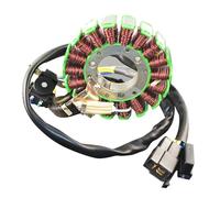Statore di accensione per Suzuki DR200 Dr 200 1995-2013 DF200 DF 1996 1997 1998 1999 2000 Statore Bobina Moto Comp