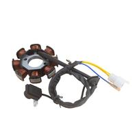Statore Di Accensione Per WH100 SCR 100 SCV 100 Per Piombo 100 Per SCV 100 100cc DC 8 Poli Efficiente Moto Statore Bobina Motore Pezzi Di Ricambio