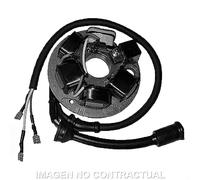 Statore: Ducati 6 Poli Piaggio Vespa Pk 50 Moto Motore Ricambi Ciclomotore