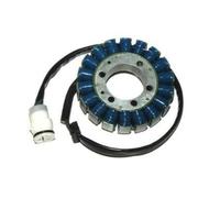 Statore Electrosport-Kawasaki per Moto Ricambi/Accessori