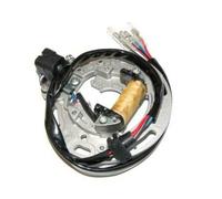 Statore Electrosport-Kawasaki Per Moto Ricambi Accessori Parti