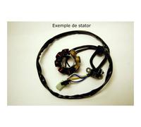 Statore Electrosport-Suzuki RM125/250 Per Moto Ricambi Accessori Parti