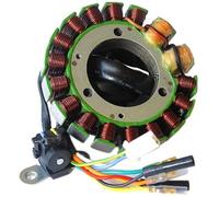 Statore Electrosport-XR650R 00-07 Per Moto Ricambi Accessori Parti