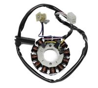 STATORE GENERATORE BCR 12 POLI YAMAHA TZR 50 2003 2012
