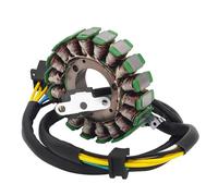 Statore generatore Bobina dello statore Bobina dello statore per parti del generatore per motocicletta adatta per SUZUKI DR250 DR 250 250XC 1994-2007 Djebel 250 1998-2008